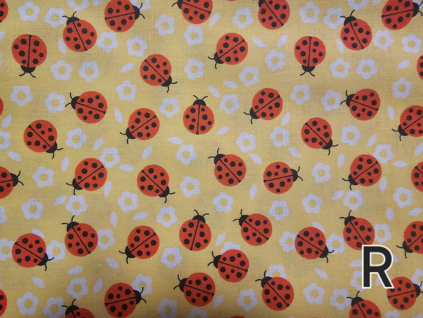 Bandanas- Extra Large