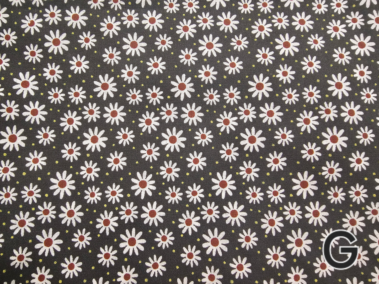 Bandanas- Extra Large