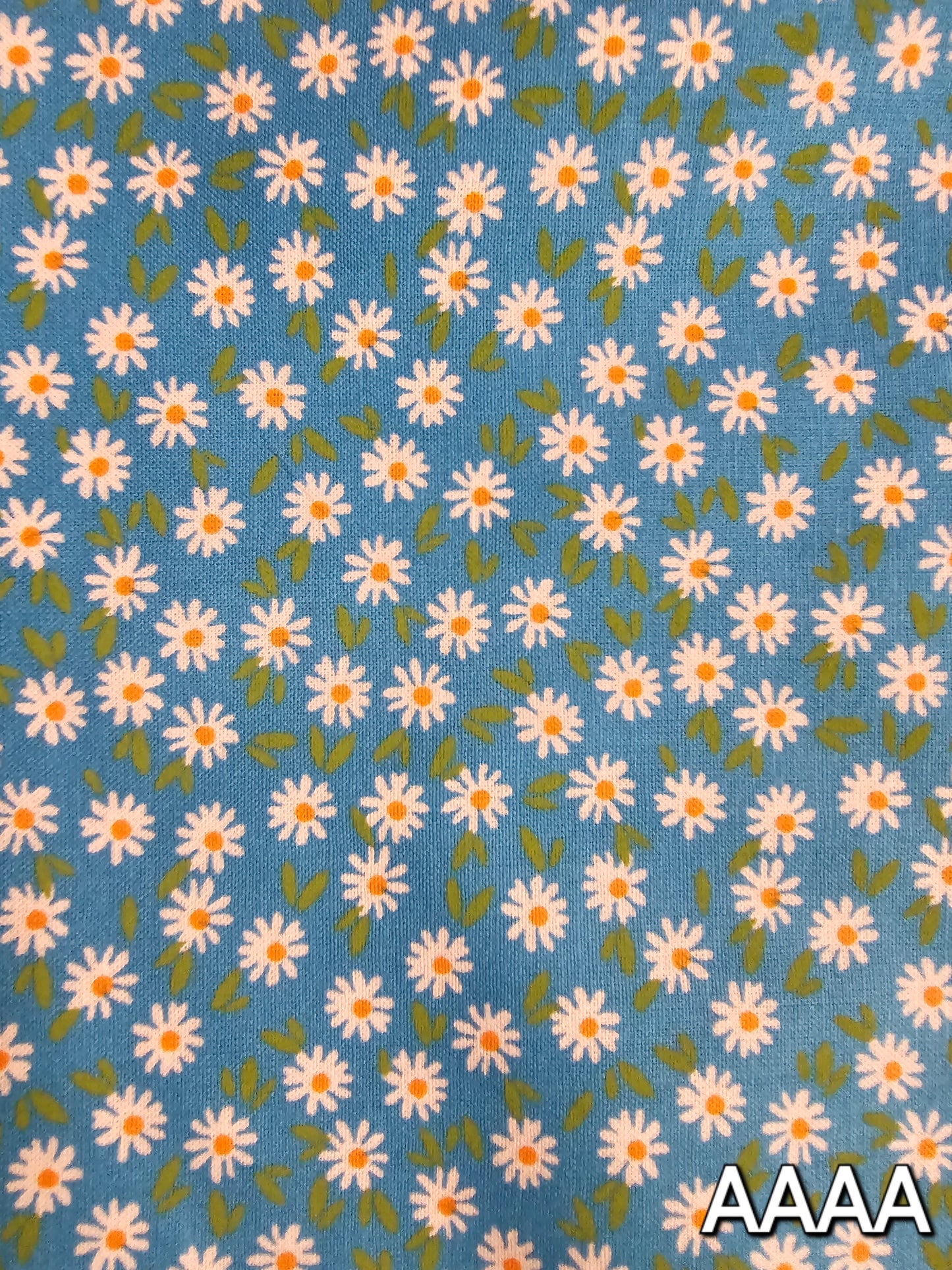 Bandanas- Extra Large