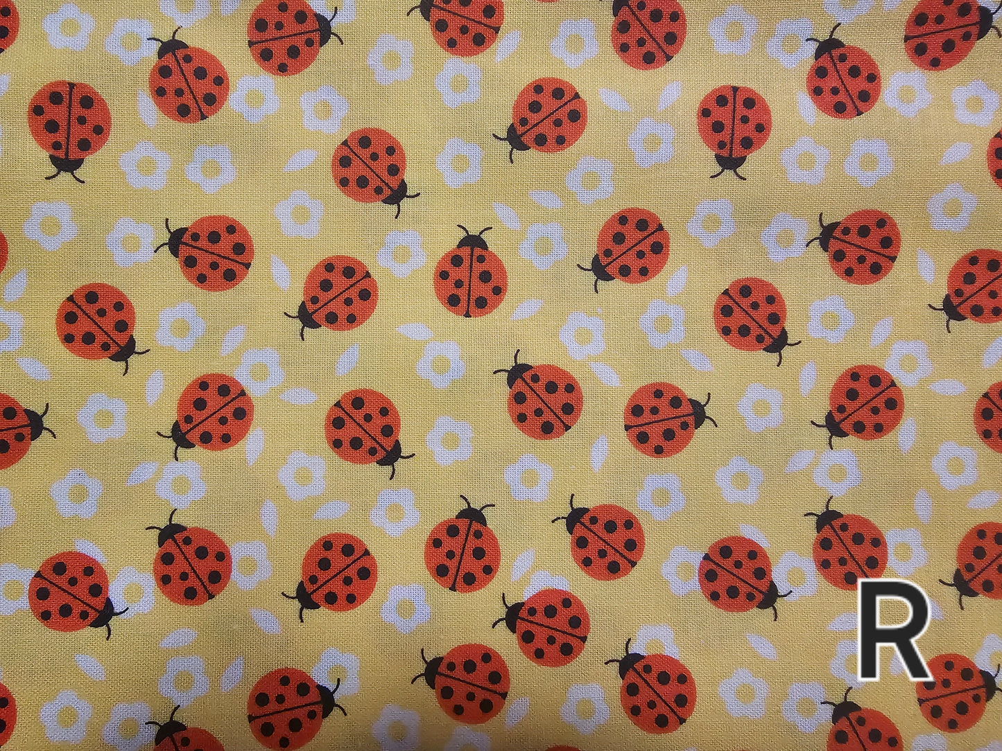 Bandanas- Extra Large