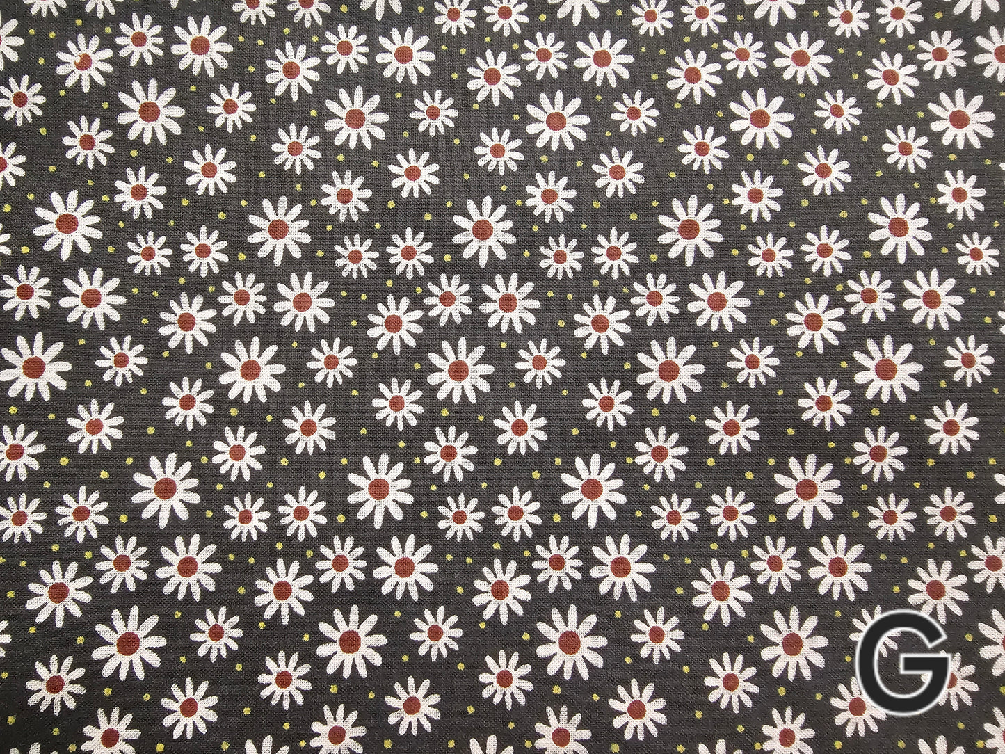Bandanas- Extra Large